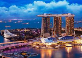 ledong网页版入口正式版