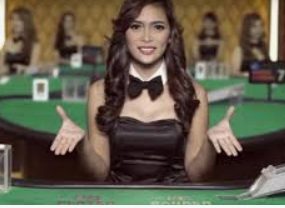 ledong网页版入口正式版